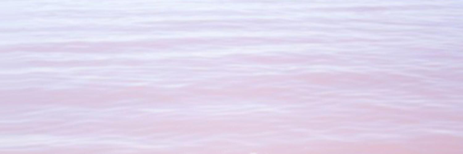 markedpie's profile banner image
