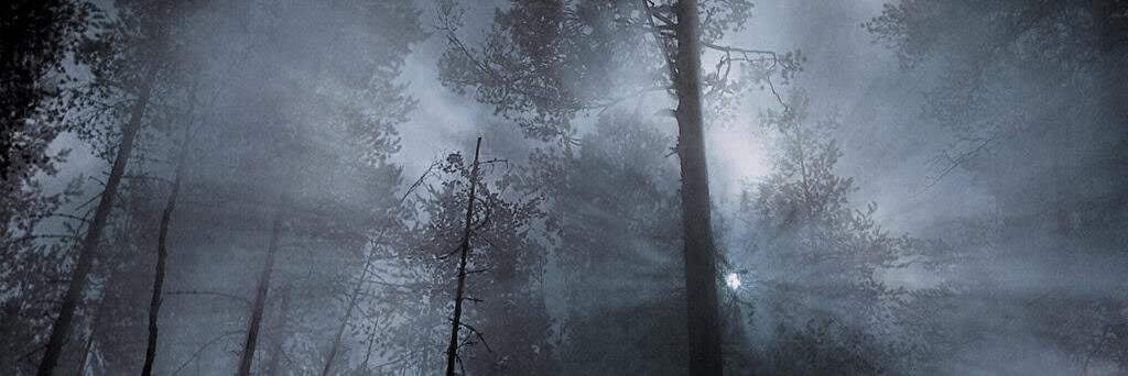 InternadoSolace's profile banner image