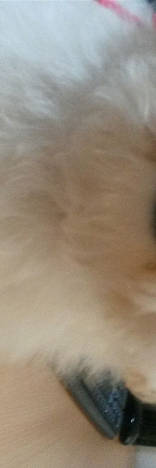 lisbeth63129060's profile banner image