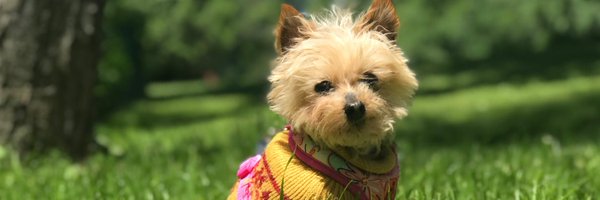 driftspot Profile Banner