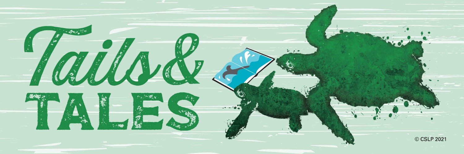 ShelbyLibrary's profile banner image