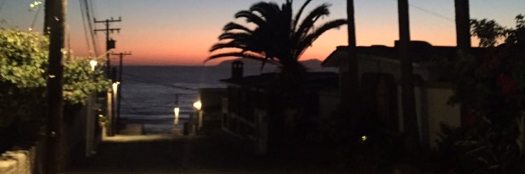 CarolRadilla_'s profile banner image