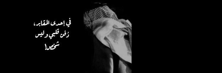 orchiid__'s profile banner image