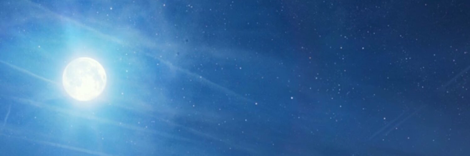 Willllliam1's profile banner image