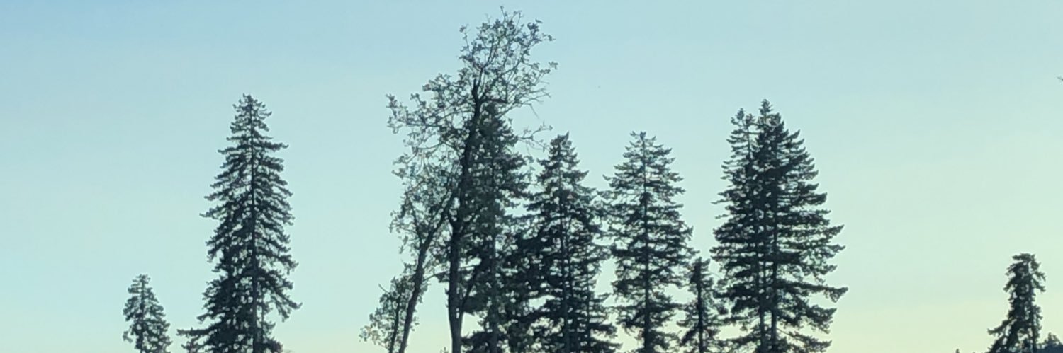 LeoTraub's profile banner image