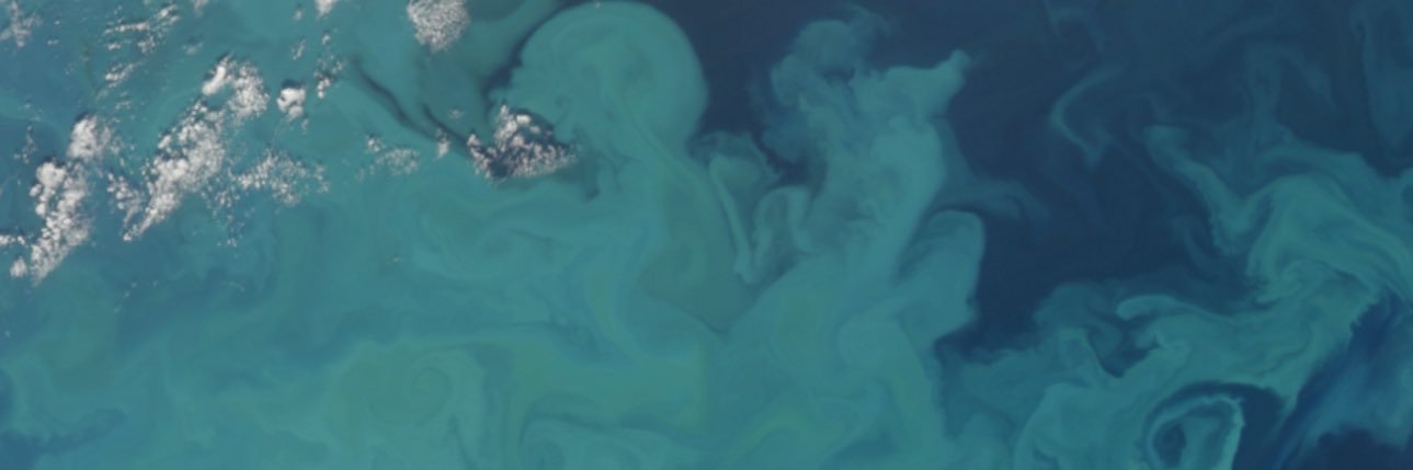 NASA Earth's banner