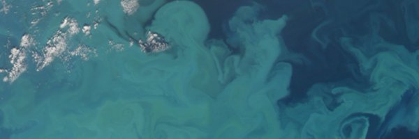 NASAEarth Profile Banner