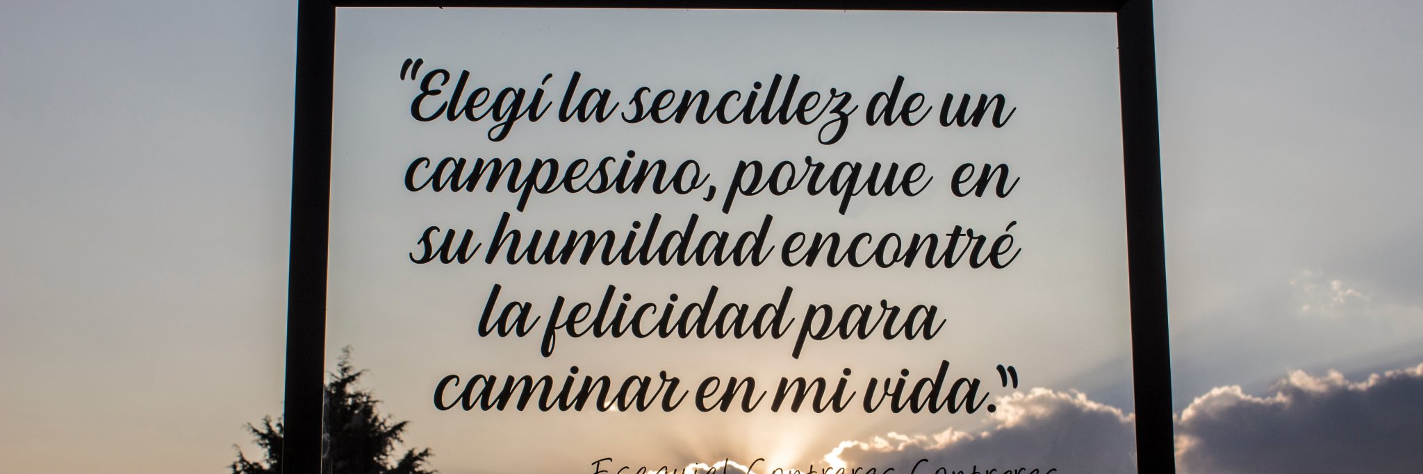 ConEsequiel's profile banner image