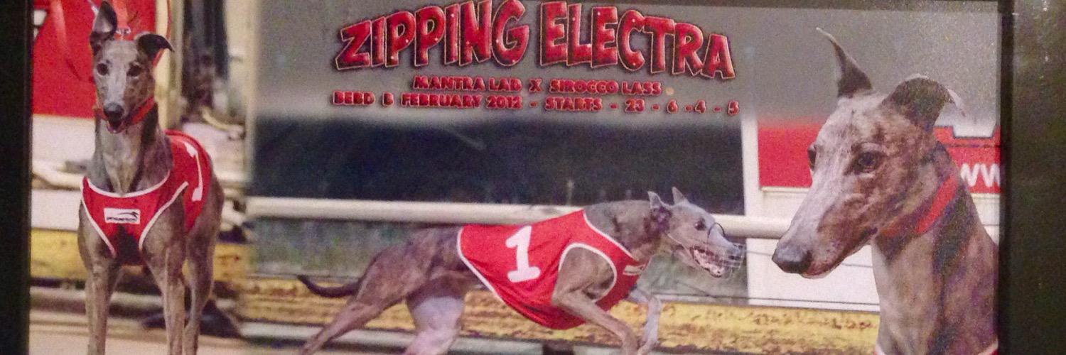 Zipping_Electra's profile banner image