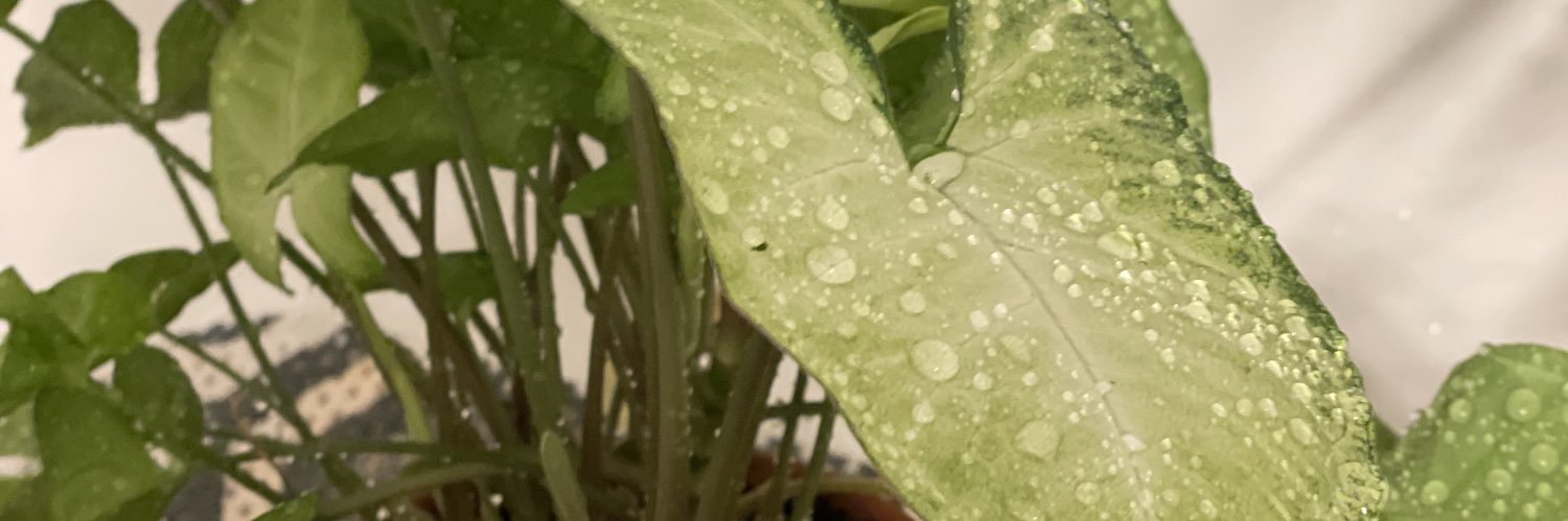 mcsnareline's profile banner image