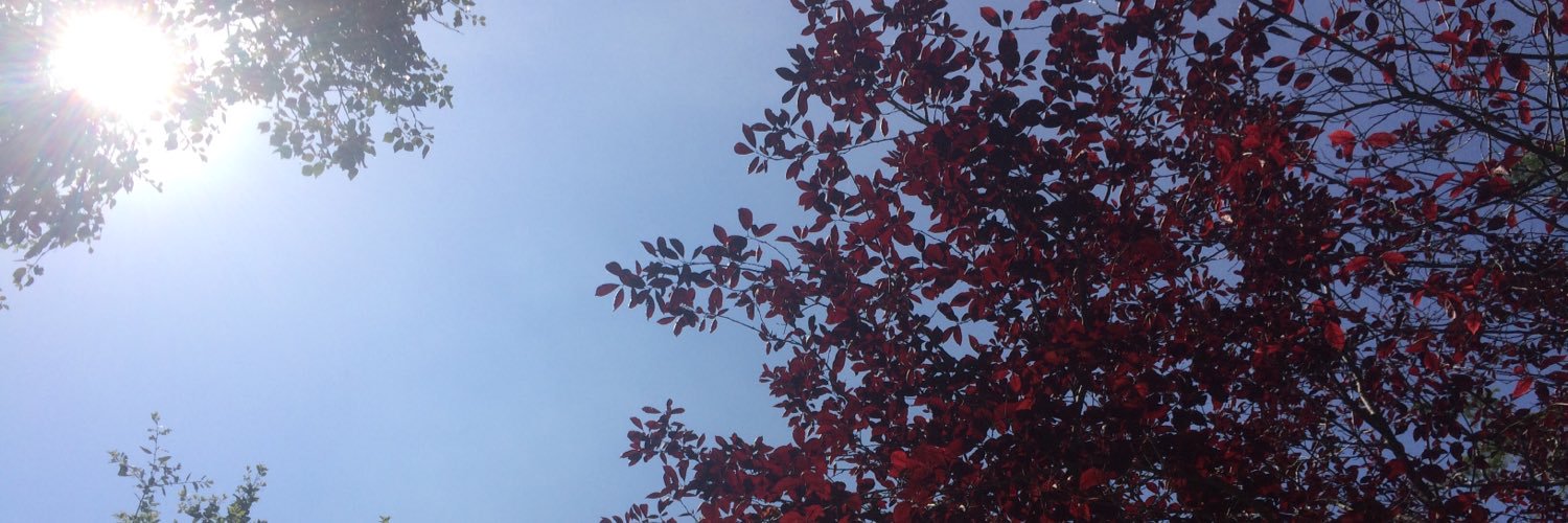 aelix69's profile banner image