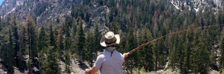 danneff's profile banner image