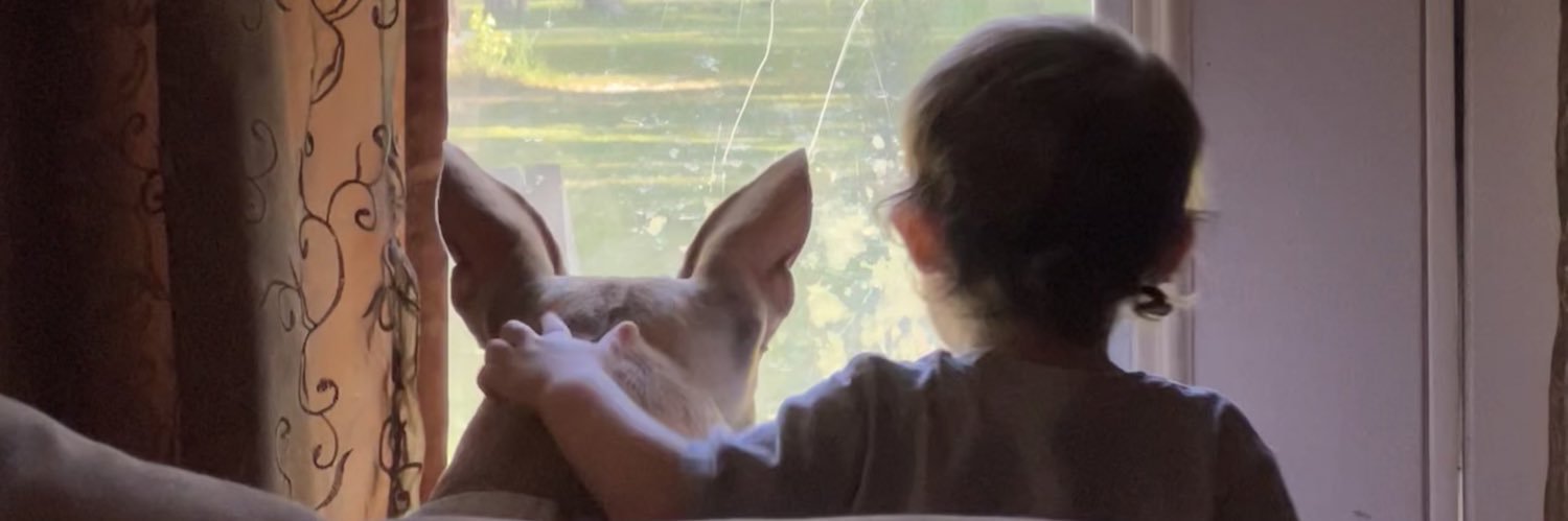 droddykhloe's profile banner image