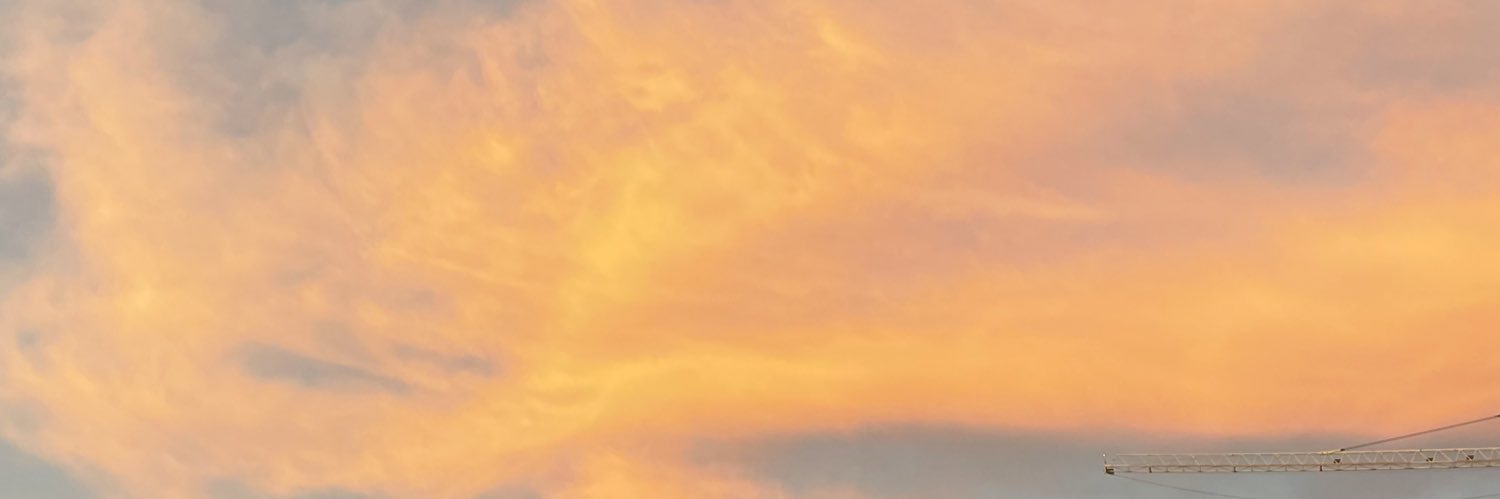 lucygatlit's profile banner image