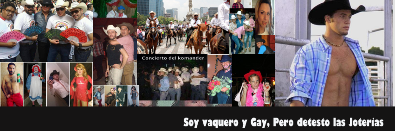 SoyVaqueroyGay's profile banner image
