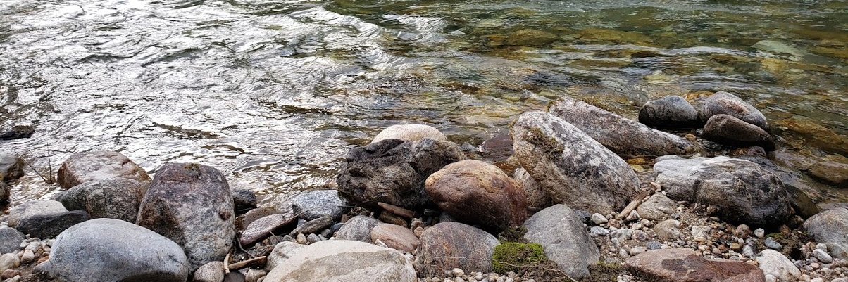 Kate Morrison-York banner