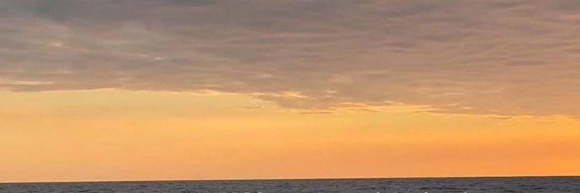 Briyitharagon's profile banner image