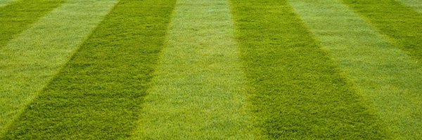CDNBaseballNet Profile Banner