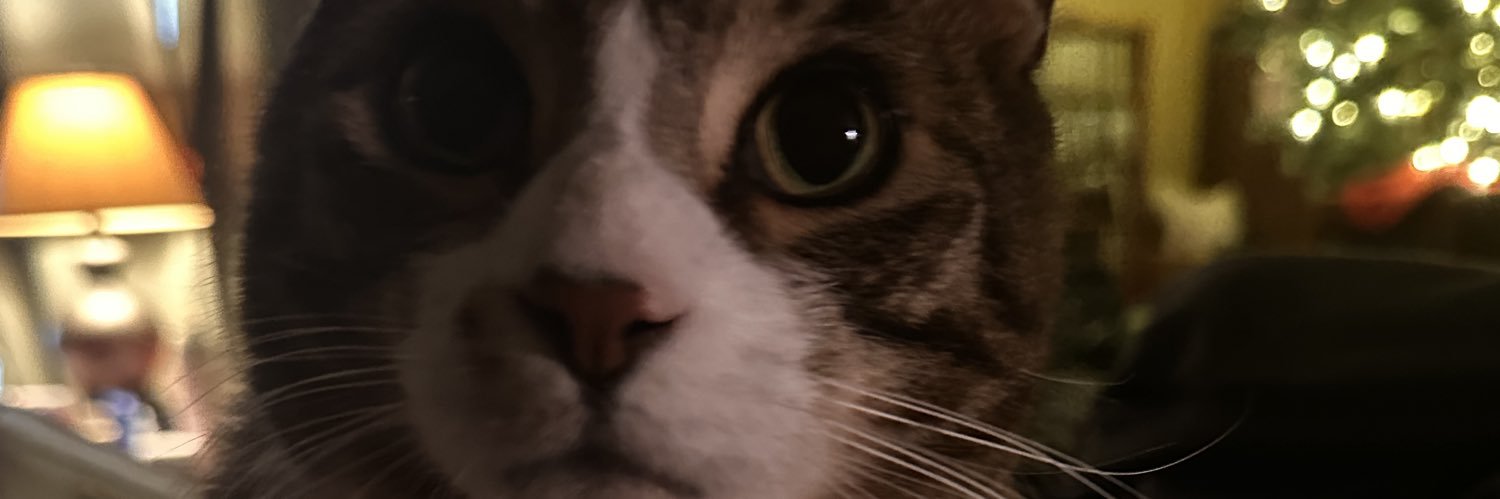 strawberryirl's profile banner image