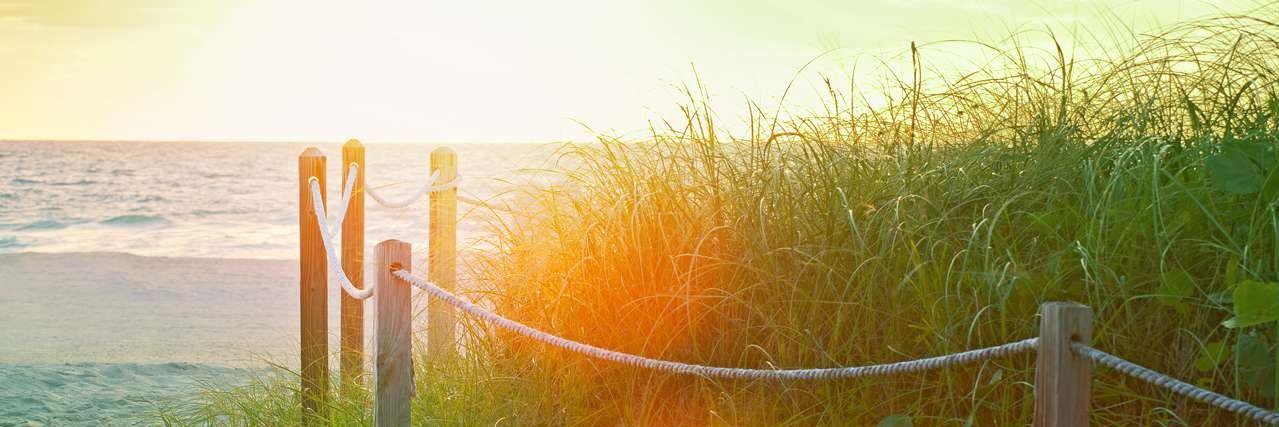 LewisLongman&Walker banner