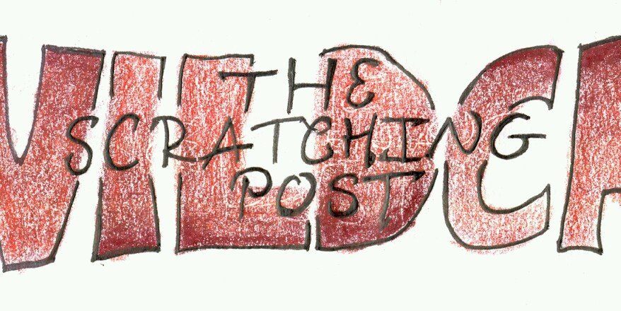 JCHSWildcatNews's profile banner image