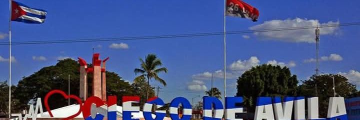 Alfredo Fernández Arcia banner