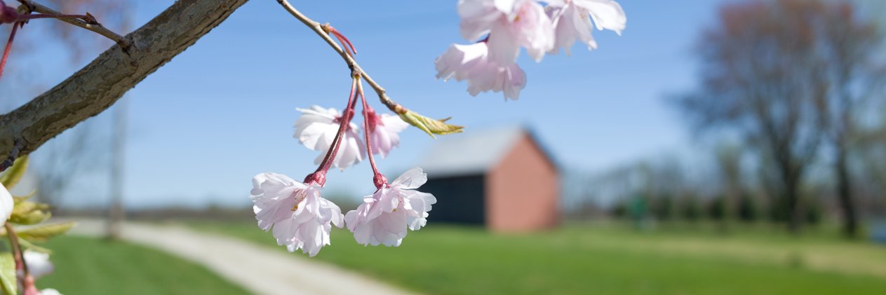 hellofarmhouse's profile banner image