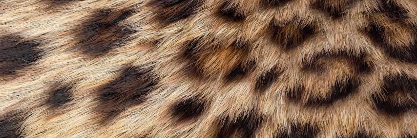laurulario's profile banner image