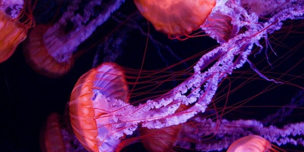 malenathoris's profile banner image