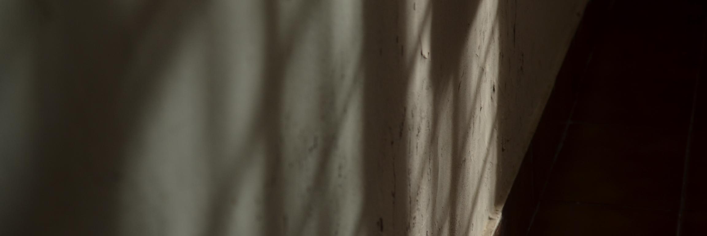 MariArayaa's profile banner image