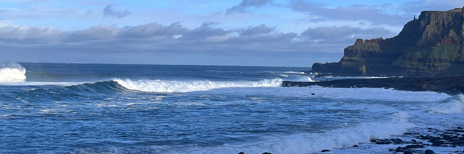 Dr. Susan Jinks banner