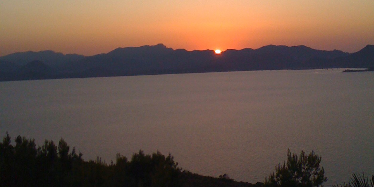 MTeresa Puig Reixach banner