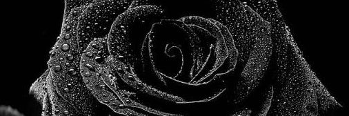 rogue9229's profile banner image
