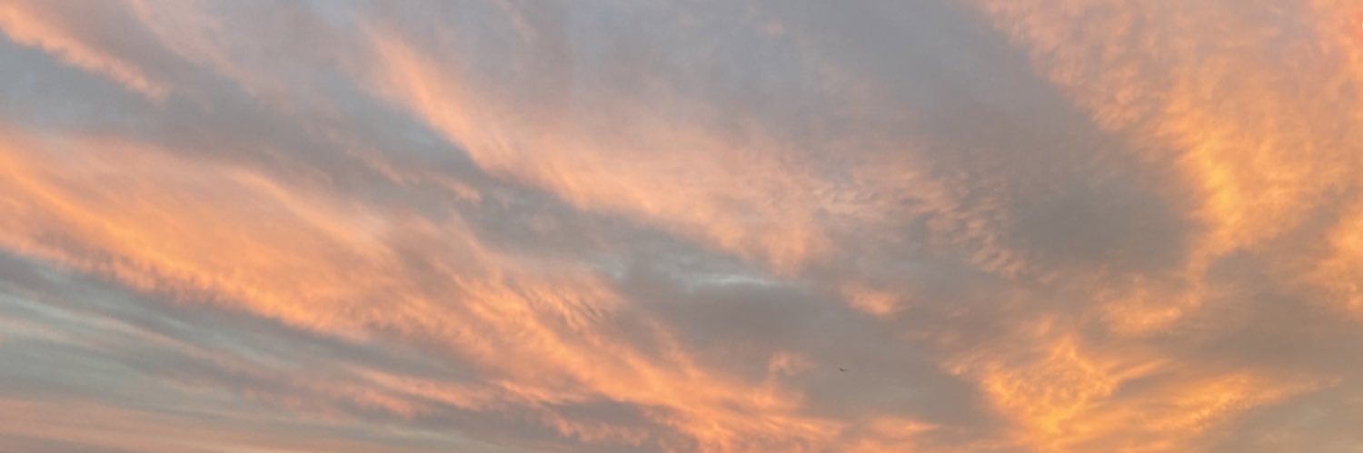 meliflexcobar's profile banner image