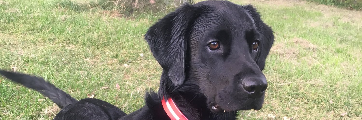 abbbi13's profile banner image