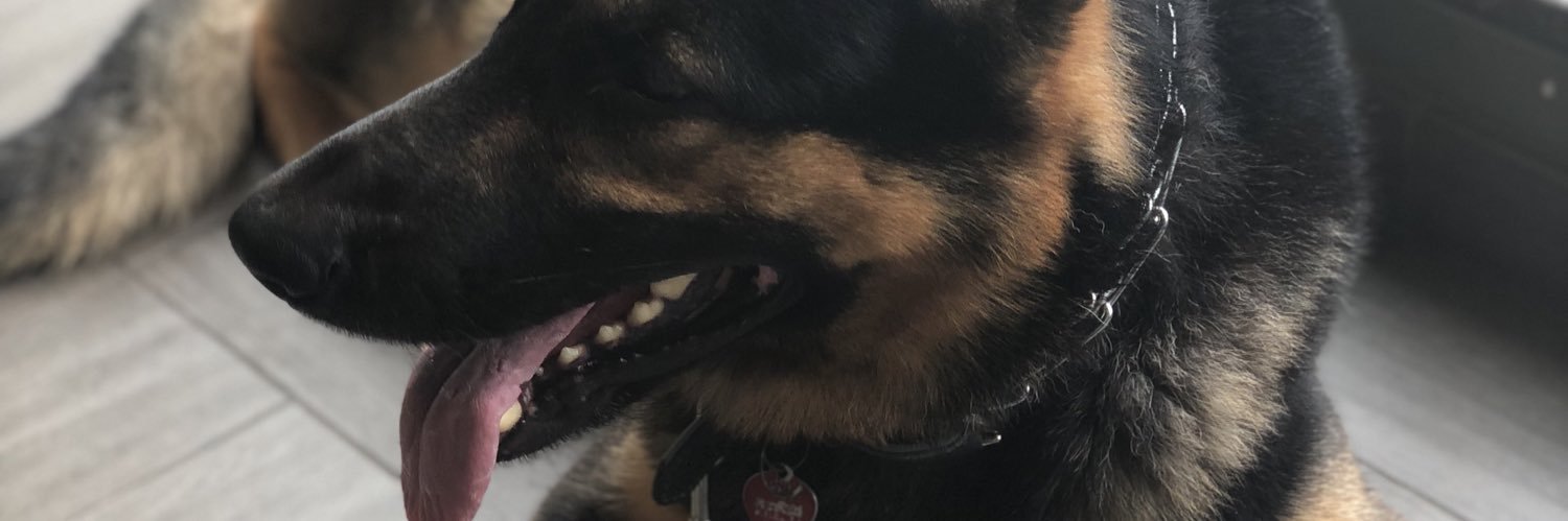 madiaayed's profile banner image