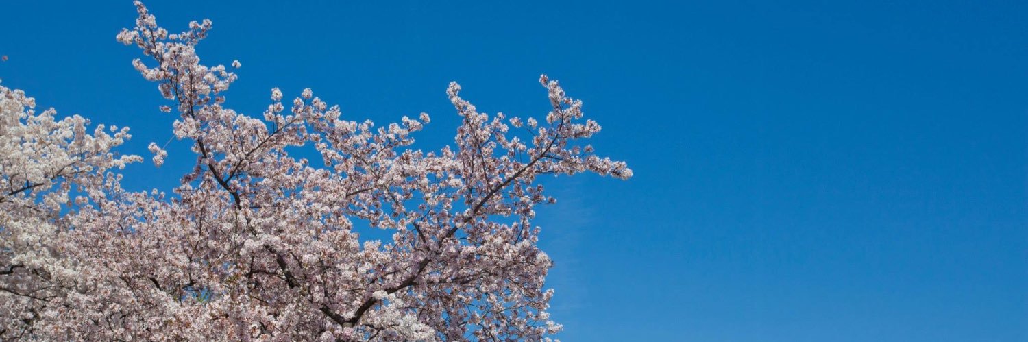 RubyWizard24's profile banner image