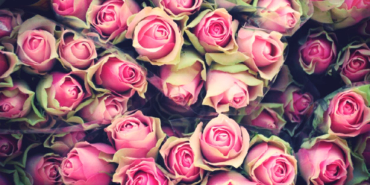 ✖لانا ستايلنسن✖ banner