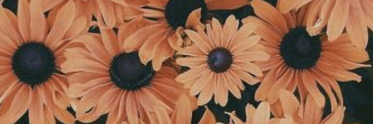 morgo25_'s profile banner image