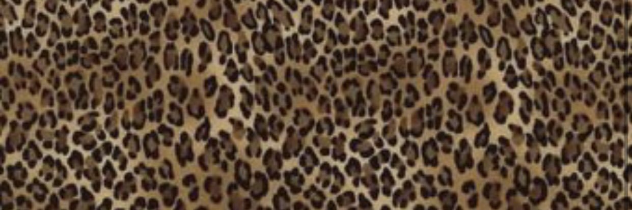 _Lleigh_'s profile banner image