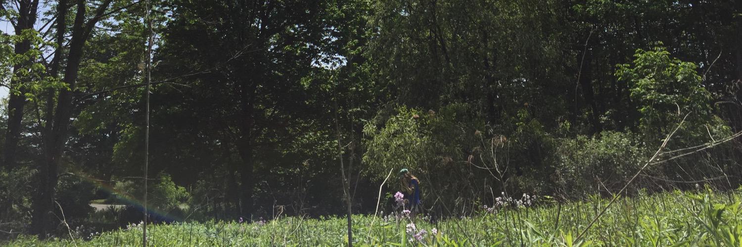 AlexaSelwood's profile banner image