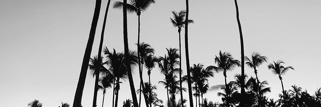 nachitor764's profile banner image