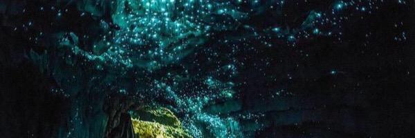 Sweetshann3's profile banner image