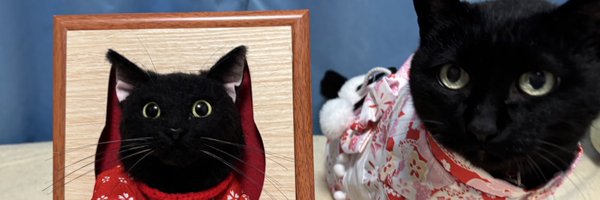 kuronekomasters Profile Banner
