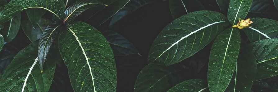 90sVicky's profile banner image