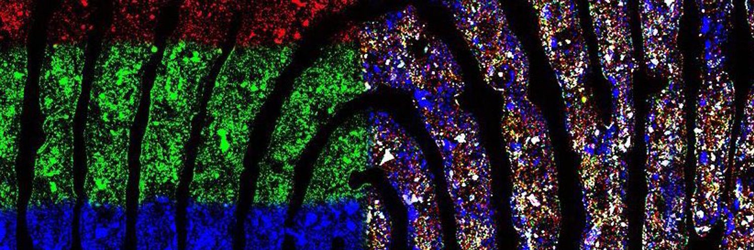 Simon W. Lewis banner