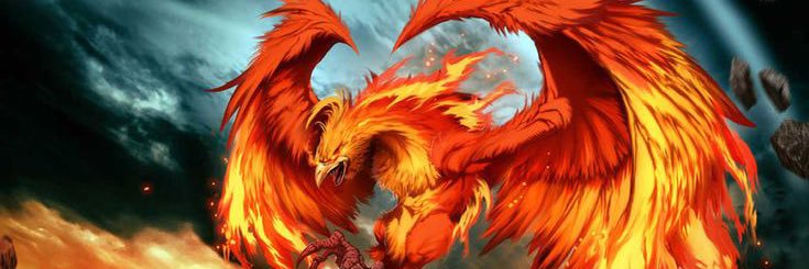 jiruizo87's profile banner image