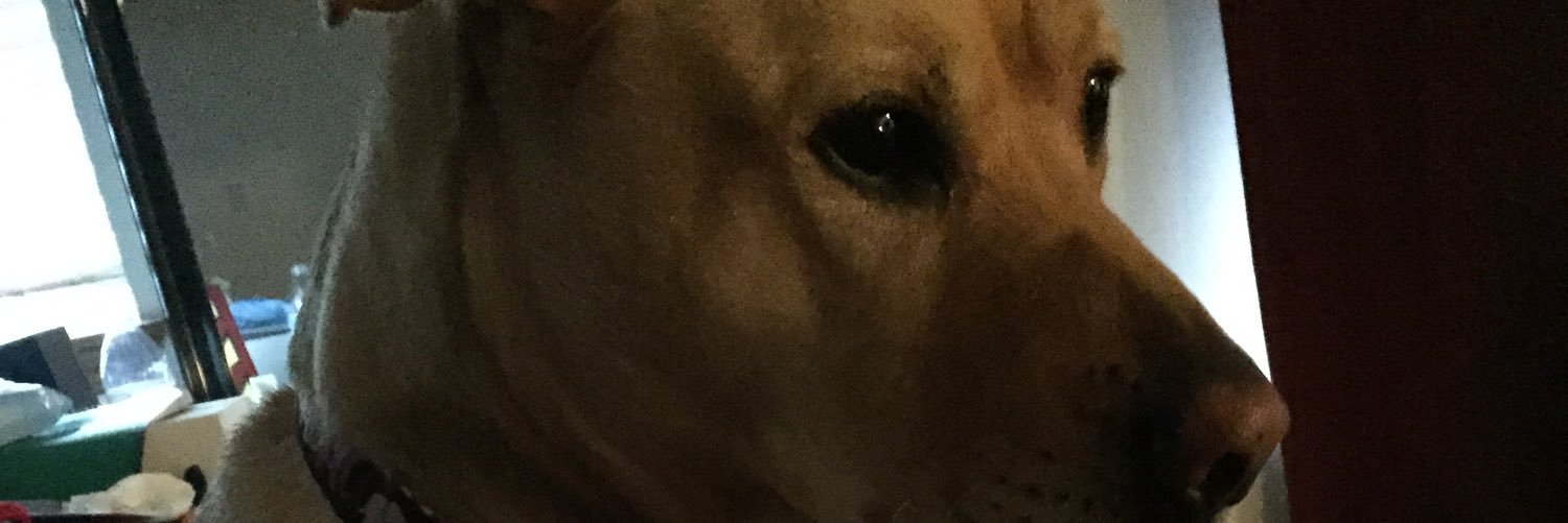 miairaheta's profile banner image