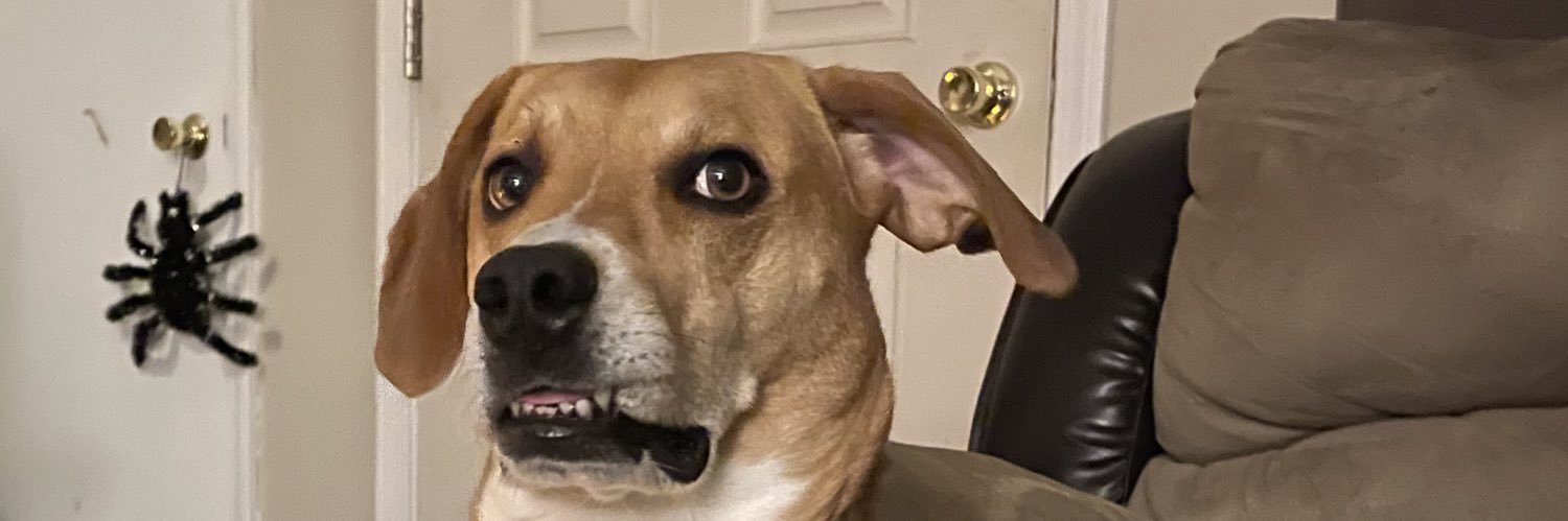 CollinStover's profile banner image