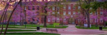 Nick Miller's banner